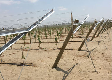 Hot Dipped ocynkowanej Metal Grape Vine Stakes umożliwia zasięg światła słonecznego Make Grape Grow