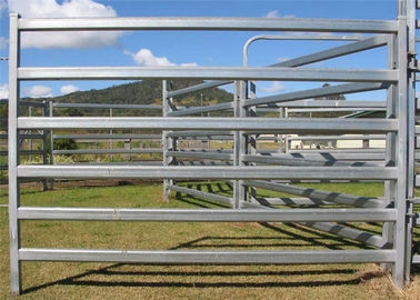 High Durable Cattle Yard Panels / Portable Gate Panels With Galvanized Pipe