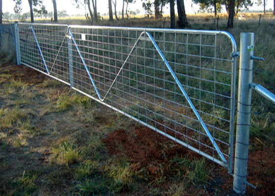 Livestock Chain Link Fence Gate Nowa Zelandia Wysoka wytrzymałość na rozciąganie i lekkość