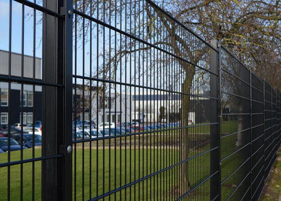 Podwójne pręty Spawane panele ogrodzeniowe z drutu Wysokość 1600mm Metal Wire Mesh Fence
