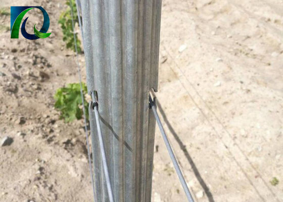 1.5mm 2.0mm 50x40mm Metalowe słupki kratowe do winnic z otworami H.