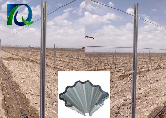 C Typ 275G / M2 Cynkowane ogniowo metalowe słupki kratowe do winnic