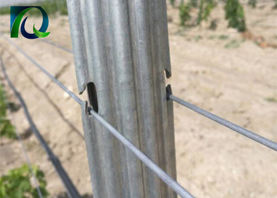 Stalowe metalowe słupki do winnic 1,8 m do drutu 1,6-3,0 mm